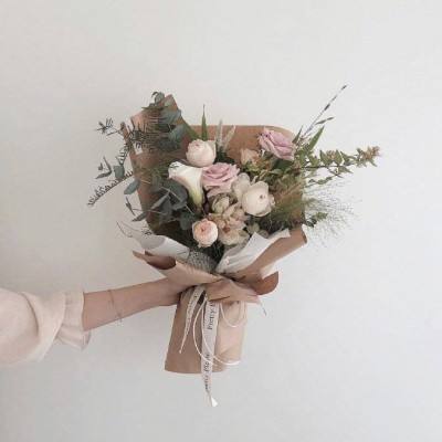 加拿大pc入口下载手机版