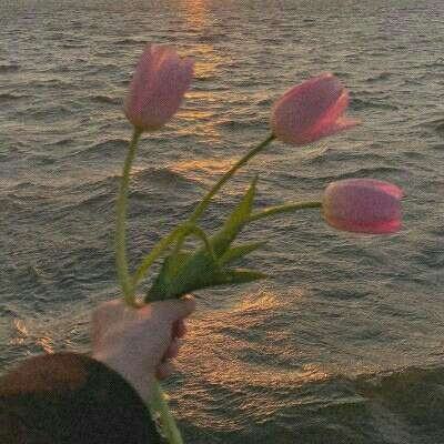 bat365app手机版下载