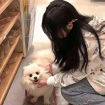 押注篮球的appapp下载